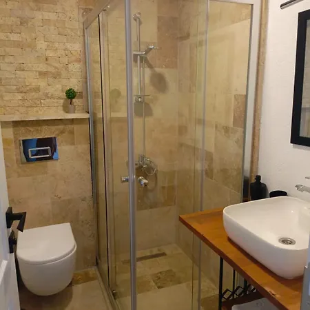 Проживание в семье The New House *